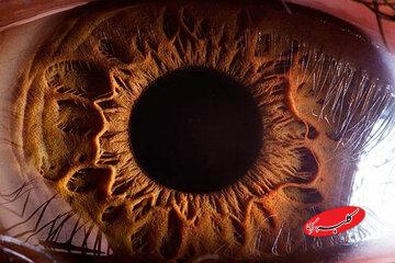 چرا در تاریکی نمیتوانیم رنگها را ببینیم؟