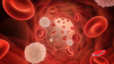 افت گلبول سفید خون، زنگ خطر سلامت بدن