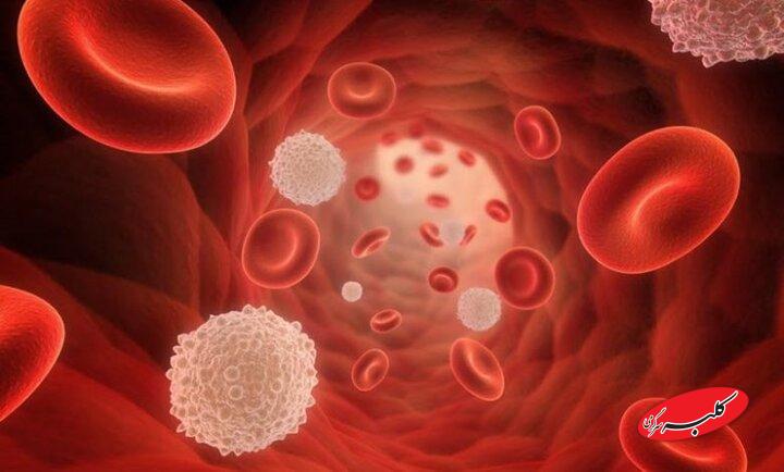 افت گلبول سفید خون، زنگ خطر سلامت بدن