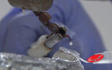 گرانقیمتترین مایع جهان که هر لیتر آن ۵۰۰ میلیارد تومان است