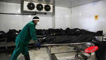 توضیحات مدیرعامل بهشت زهرا درباره تدفین جانباختگان حوادث اخیر