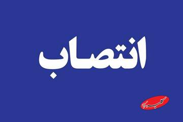 شوخی کاریکاتوری با انتصابات پزشکیان و عارف/ رئیس بانک مرکزی همین خوبه؟!