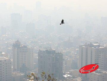 اختلاف دادههای داخلی و جهانی درباره آلودگی هوای تهران/ علت چیست؟