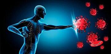 تقویت سیستم ایمنی بدن در فصل سرما با این روش