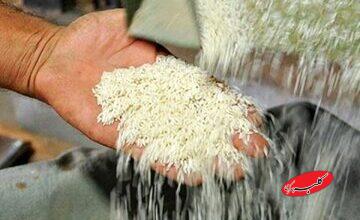 قیمت برنج در میادین و بازارهای میوه و ترهبار اعلام شد
