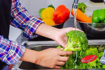 خواص سبزیجات چلیپایی برای مغز