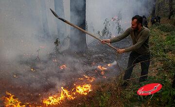 درخواست کمک از مردم؛ آتش به جان جنگلهای گیلان افتاد