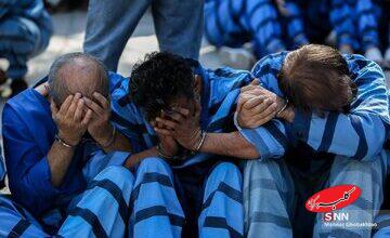 ماموران قلابی بازداشت شدند