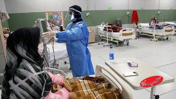 علائم مهم آنفلوآنزا را بشناسید؛ روشهای انتقال بیماری کدامند؟