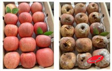 ضررهای میلیاردی فروشگاههای آنلاین چین/ ماجرا چیست؟