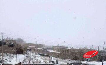 اطلاعیه سازمان هواشناسی درباره کاهش دما و یخبندان در این استانها