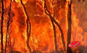 آتش واقعاً چیست؟ / پاسخی که احتمالاً تا امروز اشتباه میدانستید