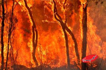 آتش واقعاً چیست؟ / پاسخی که احتمالاً تا امروز اشتباه میدانستید