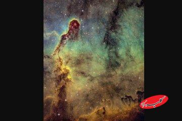 خرطوم فیل در آسمان! / عکس