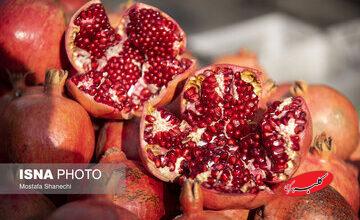 کدام برنامههای شب یلدا پربینندهتر بودند؟