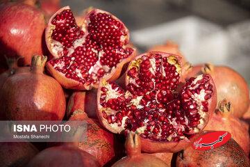 کدام برنامههای شب یلدا پربینندهتر بودند؟