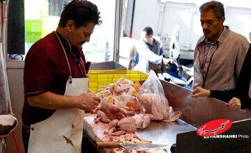 مرغ ارزان میشود؟ / تخصیص ارز ترجیحی چقدر بر بازار مرغ و گوشت تاثیر گذار بود؟