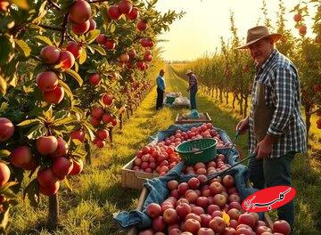 کار مفید و مؤثر؛ مسیر سعادت دنیوی و اخروی در سبک زندگی اسلامی