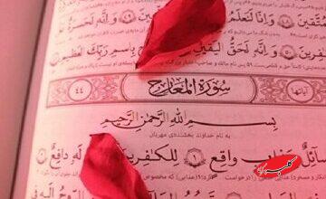 آیا نمیدانند که بهشت جای کافران نیست؟