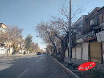 گزارش میدانی ایسنا از اعتراضات در شیراز؛ بازار وکیل و بازارهای فرعی تعطیل بودند/ عضو شورای بازار نو شیراز: بازاریان همیشه نسبت به انقلاب وفادارند