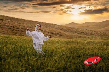 «بالماسکه» به جشنواره فجر داده شد