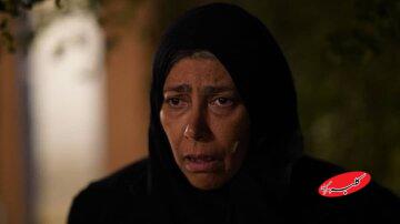 همکاری بازیگر سقوط با ابراهیم حاتمیکیا و داود میرباقری