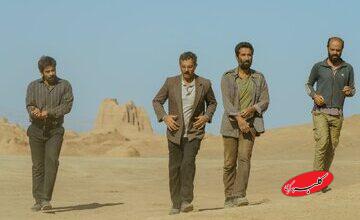 از تماشای فیلم نماینده اسکار تا خوردن صبحانهای متفاوت با زرافهها!