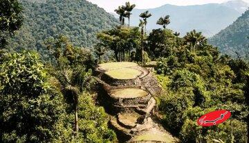 کشف شهری بزرگ که زیر درختان مخفی شده بود