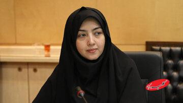 علت استیضاح وزیر کار به روایت نماینده مجلس/ سعیدی مبارکه: مسیر اعتراض به دهکبندی خانوارها مسدود است