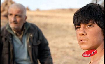 تشابه اسمی «فریاد» با فیلم مسعود کیمیایی؛ «هاوار» به زودی اکران میشود