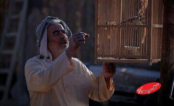 اولین عکس از سعید آقاخانی در جشنواره فجر چهل و چهارم