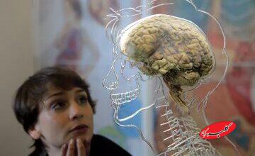 آیا ما بدون گوگل «کندذهن» میشویم؟