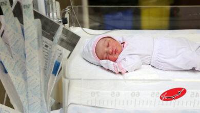 کاهش مستمر نرخ ولادت در ۴ سال اخیر