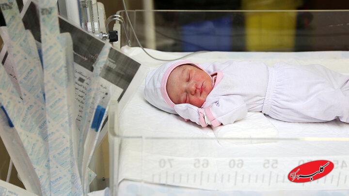 کاهش مستمر نرخ ولادت در ۴ سال اخیر