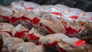 توزیع مرغ تنظیم بازاری آغاز شد+ قیمت