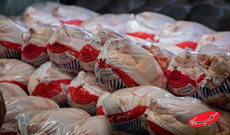 توزیع مرغ تنظیم بازاری آغاز شد+ قیمت