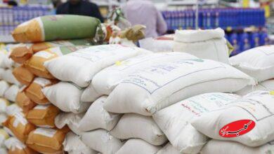 برنج پاکستانی در آستانه بازگشت به بازار