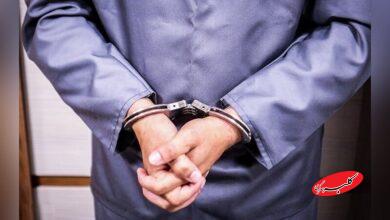 قاتل ملیکا دستگیر شد+ جزئیات