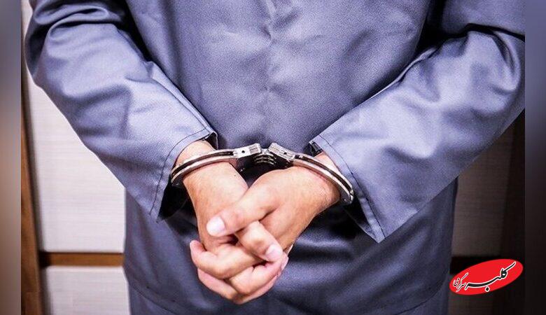 قاتل ملیکا دستگیر شد+ جزئیات