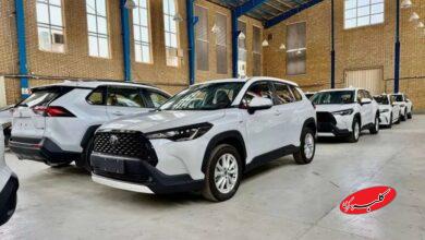 چه کسانی میتوانند خودرو به کشور وارد کنند؟