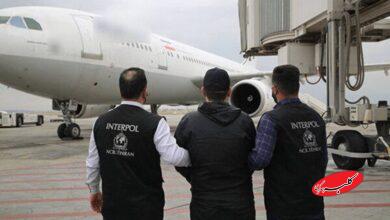 جزئیاتی از کلاهبرداری متهمی که امروز به کشور بازگردانده شد