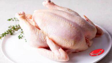 هشدار مرغداران درباره تبعات گرانی نهادهها بر قیمت مرغ !