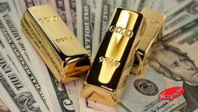 طلا بزرگترین دارایی ذخیره جهانی شد