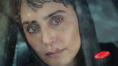 سینما با «آرامبخش» وارد منطقهی سخت تصمیمهای بهزیستی میشود