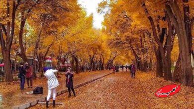 این چهارباغ تماشایی نیست