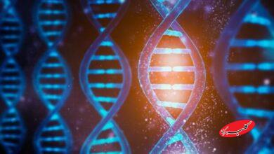 نقش ۵۵ درصدی ژنتیک در شکل دهی طول عمر