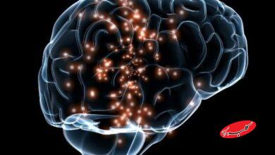 بارداری و شیردهی از مغز زنان در برابر پیری محافظت می کند