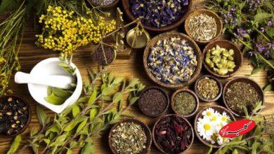 مصرف خودسرانه فرآوردههای گیاهی خطرناک است