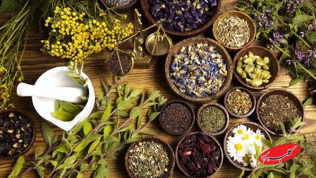مصرف خودسرانه فرآوردههای گیاهی خطرناک است
