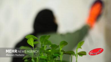 ترکیب مرگبار مواد شوینده در خانهتکانی